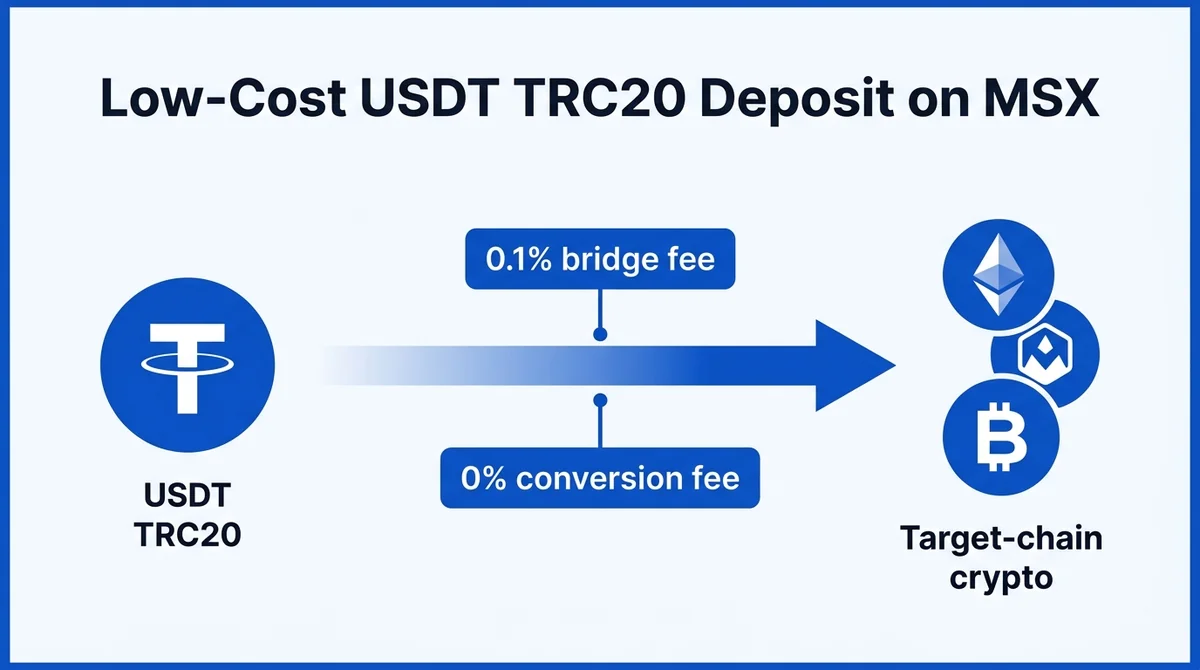 Cheapest Way to Deposit USDT via TRC20 on MSX 2026: 0.1% Cross-Chain Bridge and 0-Fee Crypto Conversion Walkthrough