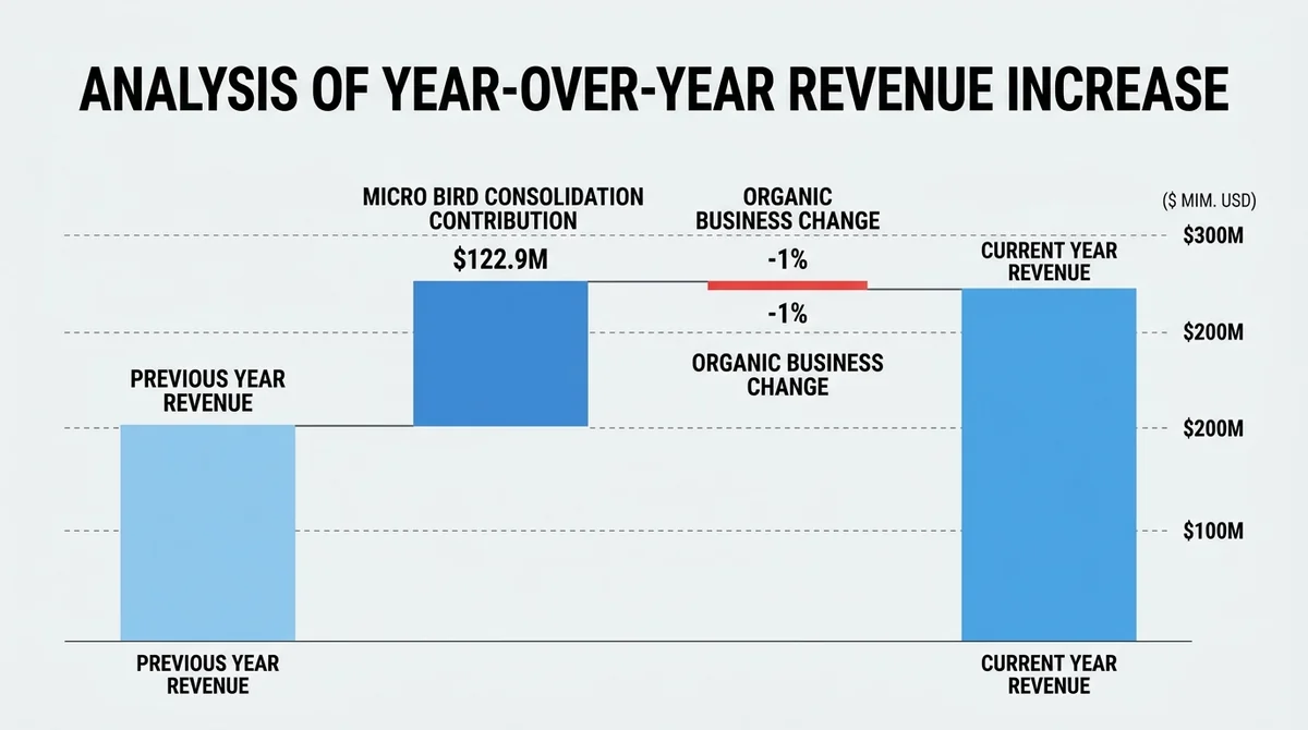 Wide 16:9 horizontal waterfall chart, bars showing total year-over-year revenue increase, a large positive Micro Bird consoli