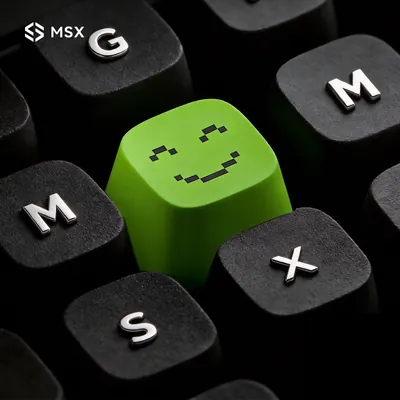MSX official brand visual